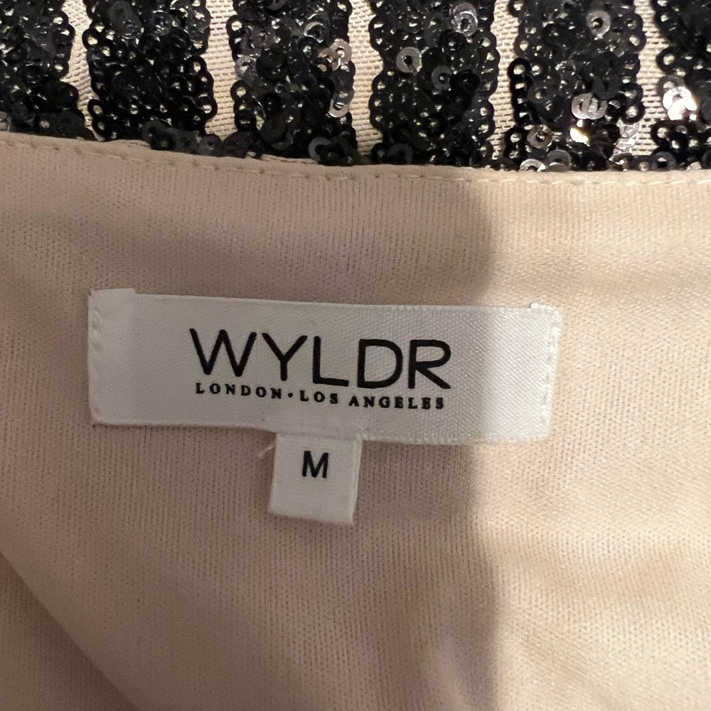 Wyldr Sequin Stripe Minidress - image 4